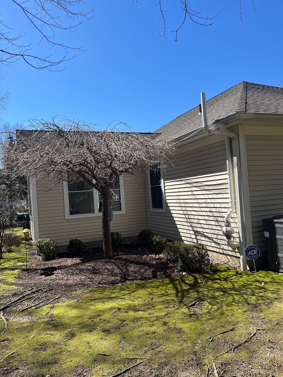 Professional Window Cleaning in Wolcott CT | Seasonal Window Maintenance & Yearly Cleaning by Adhere Home Services